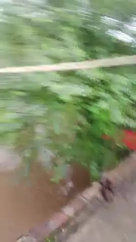 bankhedi Nagar bahut Pani barish bhara gaya hai aap dekh sakte hain Rahul Vishwakarma
