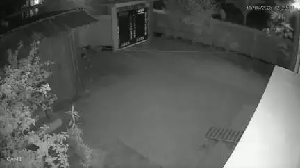 বিশালগড়: নাড়াউড়া এলাকায় জওয়ানের বাড়িতে চুরির অভিযোগে গ্রেপ্তার 2, উদ্ধার CCTV ফুটেজ