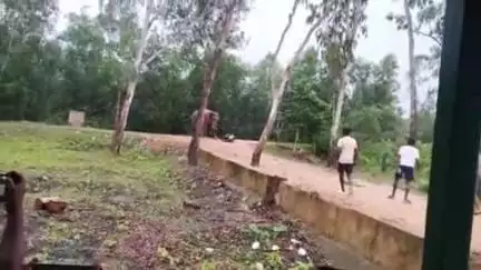 କେନ୍ଦୁଝର ସହର: ଦ୍ରୌପଦୀହୁଡି ରାସ୍ତା ନିକଟରେ ହାତୀ ଆକ୍ରମଣରେ ବାଇକ ଚୁରମାର, ବର୍ତ୍ତିଲେ ଲୋକେ
