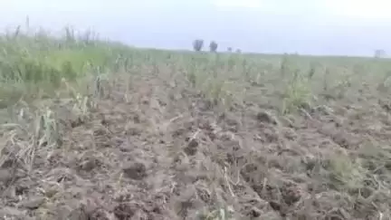 पूरनपुर: सिद्धनगर में भाजपा महिला मोर्चा अध्यक्ष की आत्मदाह की चेतावनी के बाद 5 लोगों पर दर्ज हुआ मुकदमा