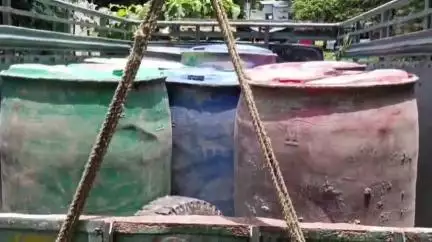 তুফানগঞ্জ ১: অবৈধভাবে পাচারের পথে এলাকা থেকে আরটি কেরোসিন তেলের ড্রামসহ বাজেয়াপ্ত ছোট চার চাকার গাড়ি ,গ্রেফতার এক