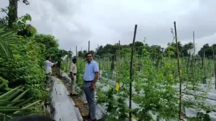 दुमका: डीडीसी अनिकेत सचान ने सदर प्रखंड के कोदोखीचा गांव का किया दौरा
