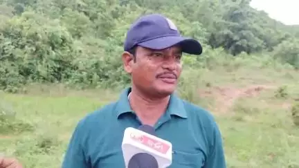 ରାୟଗଡା: ସୌରାପଲ୍ଲୀ ଜଙ୍ଗଲରେ ଗଞ୍ଜେଇ ଚାଷକୁ ବନ୍ଦ କରିବା ଓ ଲୋକଙ୍କୁ ଜାଫରା ନାମକ ଗଛ ଲଗାଇବା ପାଇଁ କହିଲେ ପଦ୍ମପୁର ବନପାଳ