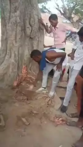 बदायूं: बदायूं के कानां नगला गांव में बरगद के पेड़ के नीचे खेल रहे बच्चे को सांप ने काटा, मौत हुई