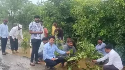 मावळ: टाकवे ते राजपुरी रस्त्याची दयनीय अवस्था; खड्ड्यांना कंटाळून नागरिकांचे रस्त्यावरच वृक्षारोपण