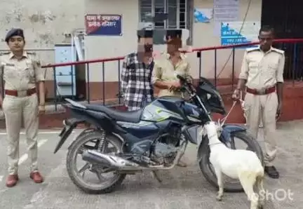 कृत्यानंद नगर: के नगर थाना पुलिस ने एक बाइक पर सवार दो चोरों को बकरे के साथ पकड़कर भेजा जेल