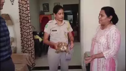 लाडपुरा: नयापुरा वन विभाग ने दबिश देकर एक घर से दो कछुए किए बरामद