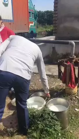 कोटपूतली में खाद्य विभाग की टीम ने विभिन्न दुकानों से लिए सैंपल, दूषित दही को किया नष्ट