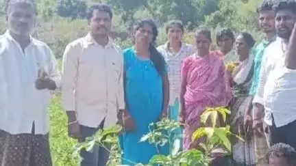 గంగాధర నెల్లూరు: వెదురుకుప్పం మండలం మాంబేడు పంచాయతిలో ఉపాధి హామీ పథకం ద్వారా మొక్కలు నాటే కార్యక్రమం