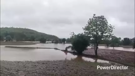 नैनपुर: किसानों की मेहनत को बहा ले गया अलोन नदी की बाढ़ का पानी, अंकुरित होने और पौधा बनने से पहले ही बह गया खेत #jansamasya