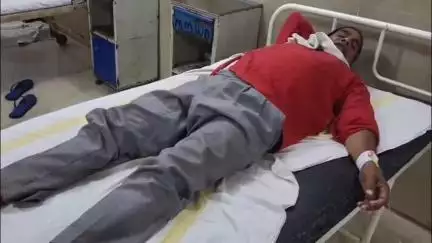 सिवनी: केसला गांव में व्यक्ति को जहरीले सांप ने काटा, ज़िला अस्पताल में भर्ती