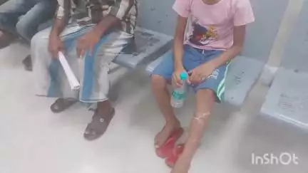 अररिया: भंगिया गांव में खेत गए बालक को विषैला सर्प ने डसा, इलाज जारी है