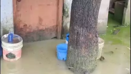 নামখানা: জলমগ্ন নামখানা নারায়নপুর ২৬৫ নম্বর বুথ এলাকার বেশ কিছু বাড়ি মানুষ সমস্যায় পড়েছে #jansamasya