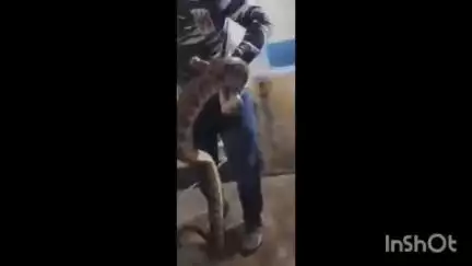 గాజువాక: జయేంద్ర కాలనీలో ఇంట్లోకి దూరిన కొండచిలువ, వీధిలైట్లు లేకపోవడం వల్లనే విషసర్పాలు వస్తున్నాయని స్థానికుల ఆందోళన #localissue