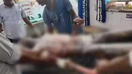 विजयनगर: बिजयनगर में सोलर लगाने के दौरान हादसा, 11 केवी विद्युत लाइन की चपेट में आने से युवक गंभीर घायल, जिला अस्पताल में रेफर