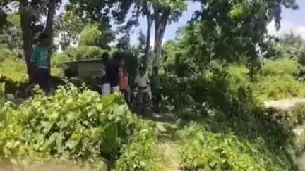 আলিপুরদুয়ার ২: শামুকতলায় কয়েক হাজার বিঘার জমিতে আমন ধান রোপন করতে পারেননি কৃষকরা সরকারি অবহেলায়