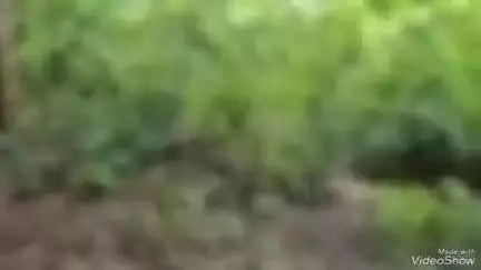 বিশালগড়: মহিলার উপর আক্রমণ এবং শ্লীলতাহানি ঘটনা, থানায় মামলা পাল্টা মামলা, ঘটনা বসেন্দ্রনগর নাবরটিলা এলাকায়