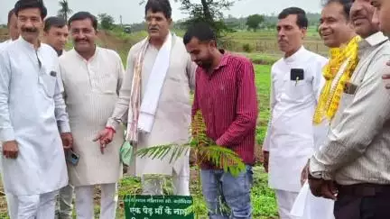 मोहन बड़ोदिया: गौशाला में "एक पेड़ माँ के नाम" कार्यक्रम सफलतापूर्वक सम्पन्न हुआ, जनप्रतिनिधियों ने शाजापुर MLA के साथ किया पौधारोपण