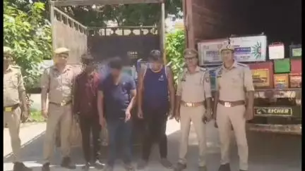 गौरीगंज: गौरीगंज कोतवाली पुलिस और स्वाट टीम की बड़ी कार्रवाई, पुलिस ने बैट्री चोर गैंग का किया भंडाफोड़