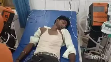 बहराइच: अलीनगर में युवक को सांप ने काटा, उसकी हालत गंभीर