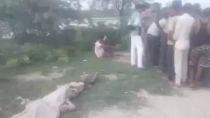खागा: प्रेममऊ कटरा बड़ी नहर में शराब के नशे में धुत्त युवक की डूबकर हुई मौत, परिजनों का रो-रोकर बुरा हाल, असोथर का मामला