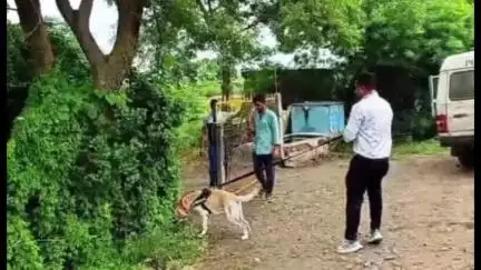 जावरा: जावरा में आलोट विधायक प्रतिनिधि कन्हैयालाल धाकड़ का शव मिला, जांच जारी