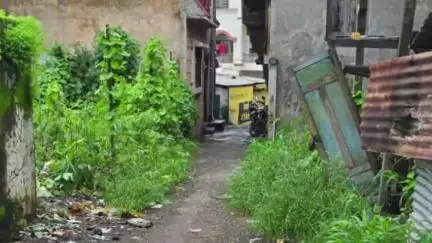 दिंडोरी: भाजपा वणी शहराध्यक्ष सिसोदीयांचे वणी ग्रामपालीकेला गावातील रस्ते व कचऱ्याबाबत निवेदन