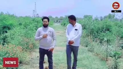 ललितपुर जिले के ग्राम पंचायत महहरा में ग्राम प्रधान जी ने बगीचा बनाकर करवाया तैयार