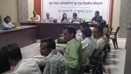 सिकराय: सिकराय और बांदीकुई में चुनाव तैयारियों के तहत बूथ लेवल अधिकारियों को मतदाता सूची और बीएलओ एप की दी गई ट्रेनिंग