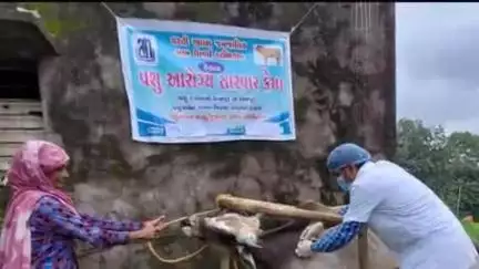 ધાનપુર: ધરતી આબા જનજાતિય ગ્રામ ઉત્કર્ષ અભિયાન" અંતર્ગત ધાનપુર તાલુકાના વિવિધ ગામોમાં પશુ સારવાર કેમ્પ યોજાયો.