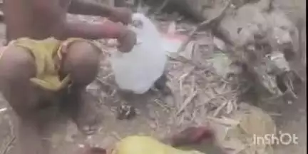 फतुहा: किसमिरिया गांव के पास महतमाइन नदी में डूबने से 54 वर्षीय महिला की मौत