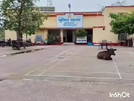 बल्देवगढ़: ग्राम कैलपुरा में युवक से मारपीट, पीड़ित ने थाने में की शिकायत