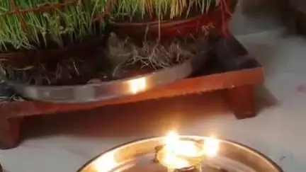 વાઘોડિયા: શહેરમાં ગૌરી વ્રત નિમિત્તે શિવ મંદિરમાં કુમારીકાઓ દ્વારા જયા પાર્વતી વ્રતની હર્ષોલ્લાસ સાથે ઊજવણી
