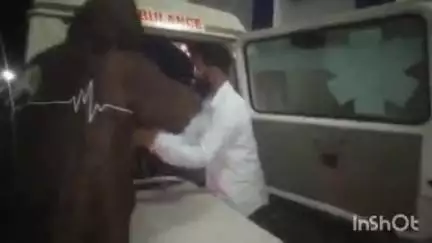 बैतूल नगर: भतीजी को परेशान करने पर समझाने गए चाचा के साथ आमला बस स्टैंड के पास की गई मारपीट, ज़िला अस्पताल में उपचार जारी