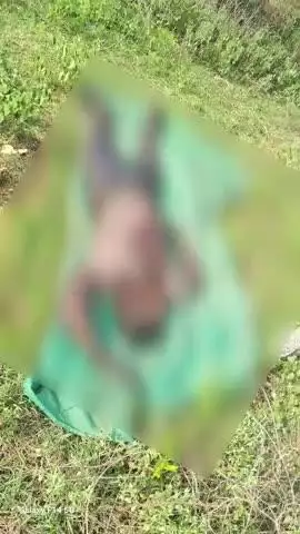 మఠంపల్లి: మఠంపల్లిలో గుర్తు తెలియని వ్యక్తి మృతి