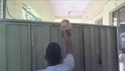छोटी सरवन: छोटी सरवन कस्बे के राजकीय माध्यमिक विद्यालय में जहरीला सांप निकलने से मचा हड़कंप