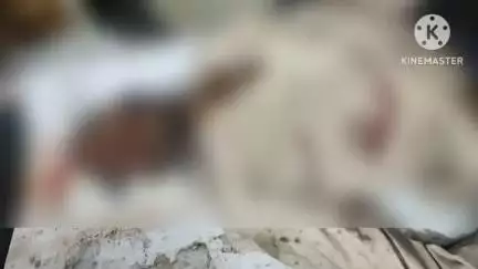 आगर: आगर उज्जैन मार्ग पर अज्ञात वाहन की टक्कर से 30 वर्षीय बाइक चालक की मौत
