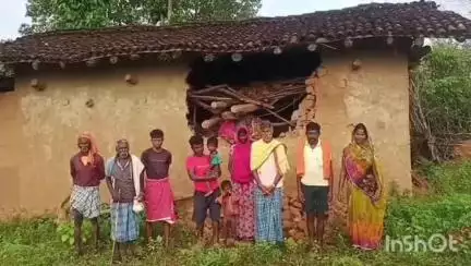 भंडरिया: भंडरिया वन क्षेत्र में जंगली हाथी का कहर, 4 घर क्षतिग्रस्त