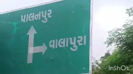 ખેરાલુ: વાલાપુરા ગામે ખેડુતના છાપરાથી 5 ફૂટ લાંબો કોબ્રા સાપ રેસ્ક્યૂ કરાયો