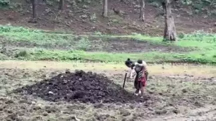 पंडरिया: चिल्फी घाटी की महिला का वीडियो सोशल मीडिया पर हुआ वायरल, पीठ पर बच्चे को लादकर खेत में काम करती दिखीं, लोग कर रहे तारीफ