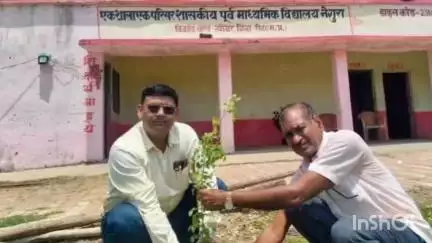 त्योंथर: त्यौंथर BRC विनोद पांडे ने शिक्षकों संग नेगुरा विद्यालय में 'एक पेड़ मां के नाम' अभियान के तहत किया वृक्षारोपण