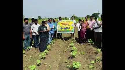 సత్తుపల్లి: తల్లాడలో వ్యవసాయ శాఖ ఆధ్వర్యంలో నానో యూరియా పై క్షేత్ర ప్రదర్శన