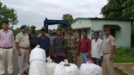 କଣ୍ଟାମାଳ: ବର୍ଡିପଦର ଛକ ନିକଟରୁ ଲକ୍ଷାଧିକ ଟଙ୍କାର ଗଂଜେଇ ସହ ଟ୍ରାକର ଜବତ ଦୁଇ ମାଫିଆ ଗିରଫ
