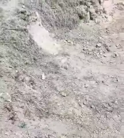 मेहदावल: मुठही कला गांव में धान की खड़ी फसल पर चलवाया नरेगा कार्य, किसानों की फसल हुई बर्बाद