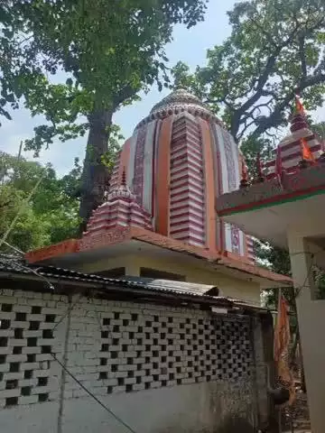 रामानुजनगर: गुरु पूर्णिमा पर पचीरा शिव मंदिर में विशाल भंडारा आयोजित