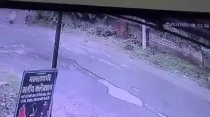 झांसी: पिछोर में कुत्ते की मौत मामले में थाने पहुंची युवतियां, कहा- स्कूटी सवार ने कुत्ते को तब तक घसीटा, जब तक वह मर नहीं गया