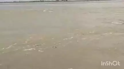 गोला गोकरणनाथ: गोला तहसील क्षेत्र के बेचेपुरवा गांव के पास शारदा नदी ने शुरू किया कटान, खेतों समेत फसलें नदी में समाईं