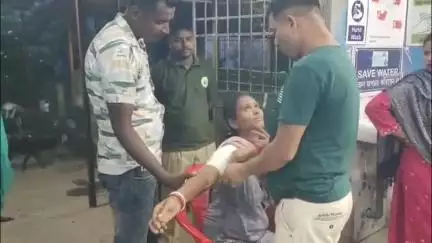 কালচিনি: সুভাষিনি চা বাগানের চিতাবাঘের হামলায় আহত এক চা শ্রমিক