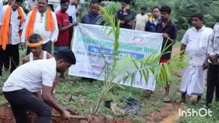 रायगढ़: मेगा ऑयल पॉम प्लांटेशन ड्राइव से जुड़ रहे किसान, बरौनाकुंडा में 6 किसान 20 एकड़ में लगा रहे ऑयल पॉम