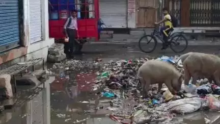रायपुर में सफाई कर्मचारियों की हड़ताल से शहर में कचरे के ढेर, नागरिक परेशान